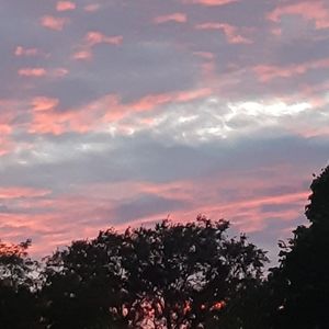 Meet your Posher, Jeanette